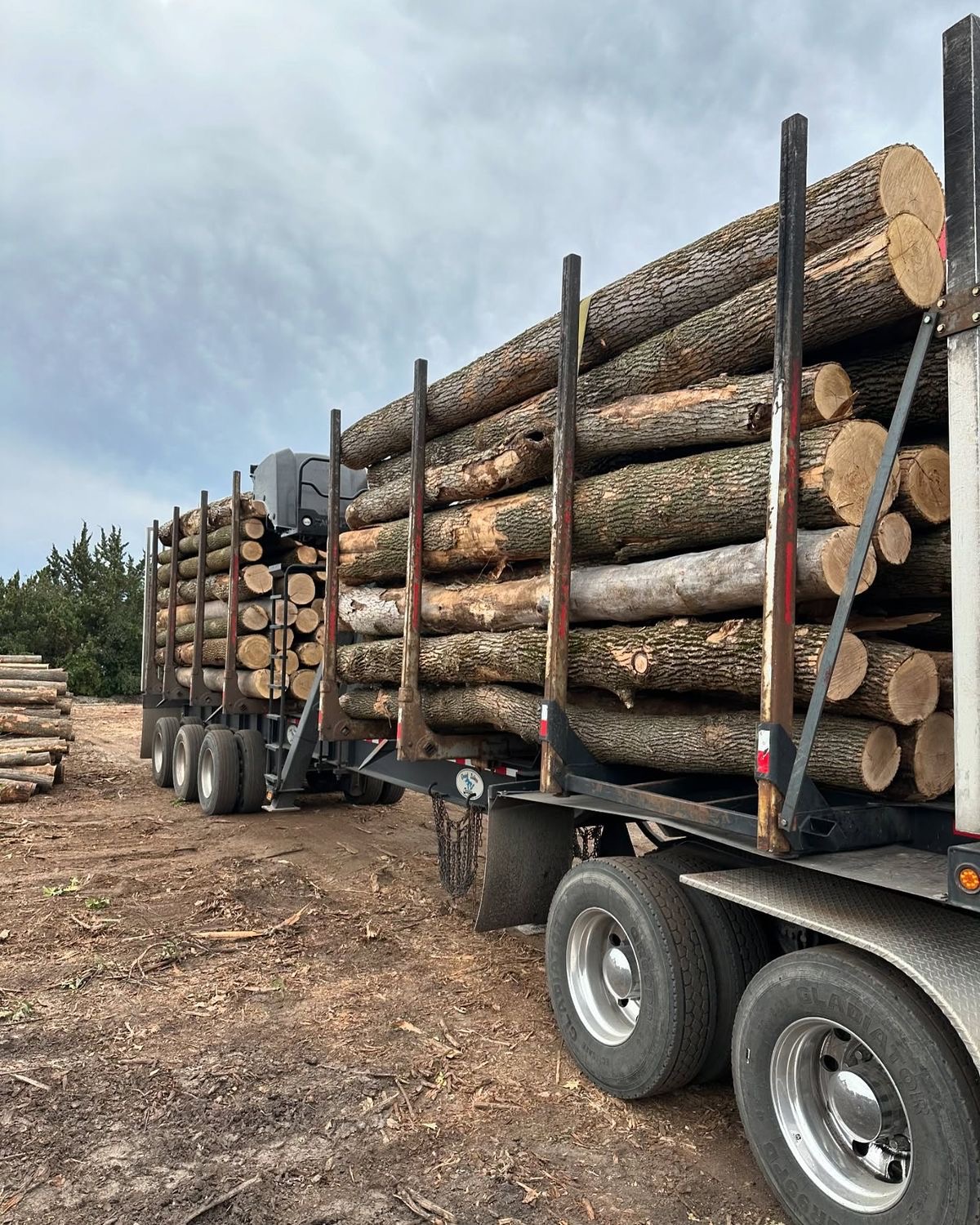 5cae263f 7618 4e4b 9d75 74dc5f967562