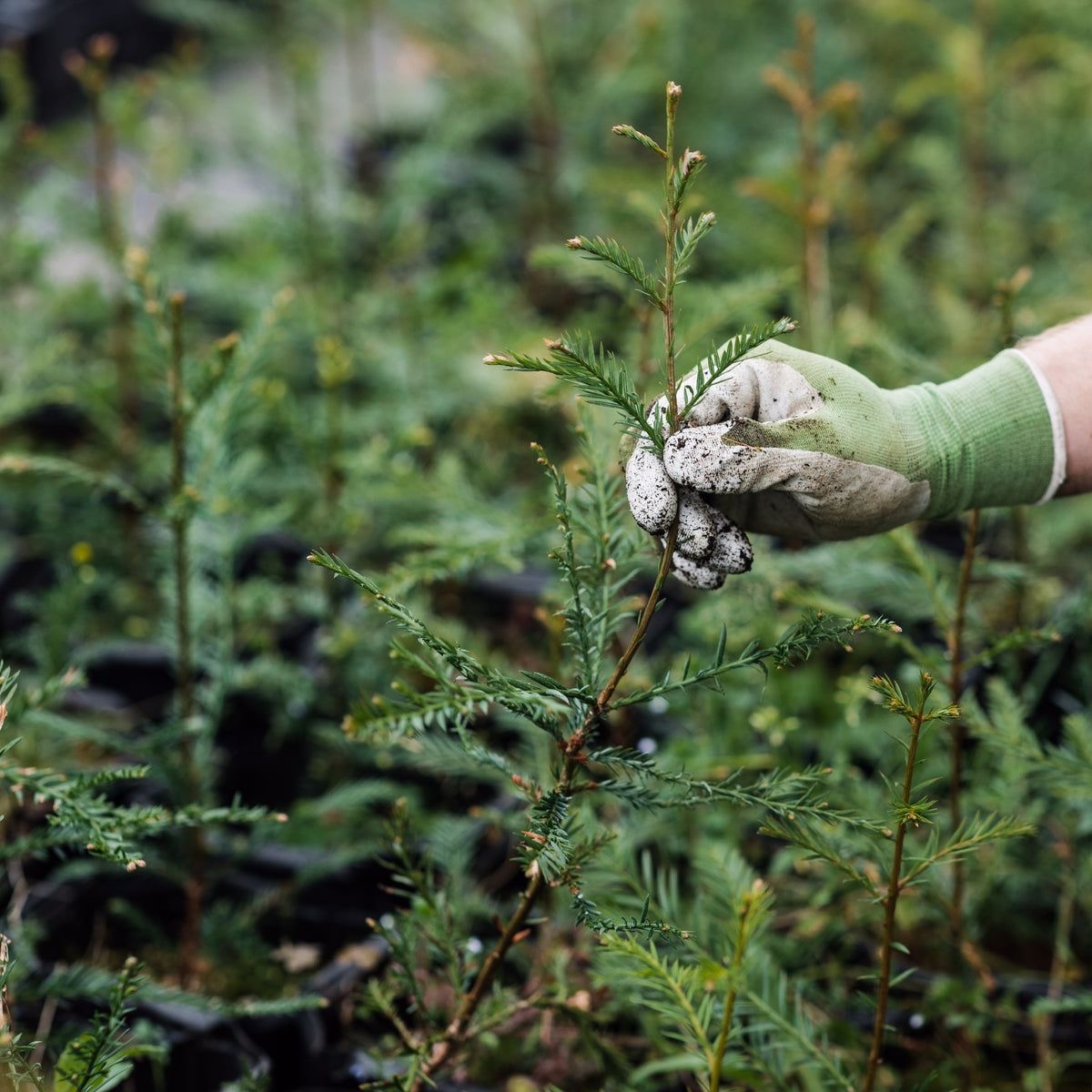 b0f49979 7298 415e ad06 08b21b0fdcd3