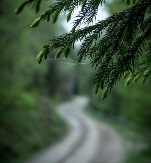 Projektai 0907eab191a8835dd9b5083219ee3c27