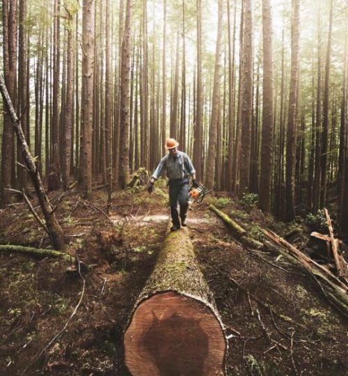 Projektai 21f7cb3e67368390e385cbf0d56a5e5f