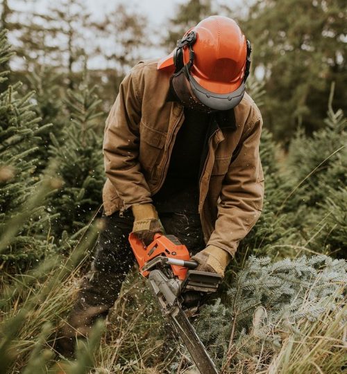 Projektai 57c1869cf98bc6e747b838f6c151978c