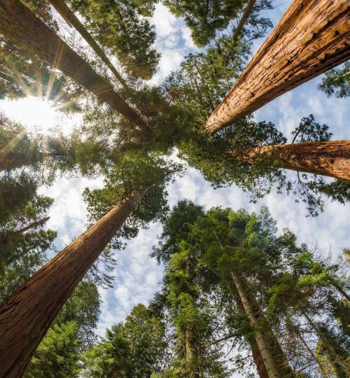 Projektai 7fe42026a9f21b53bd5e6df4303423bb