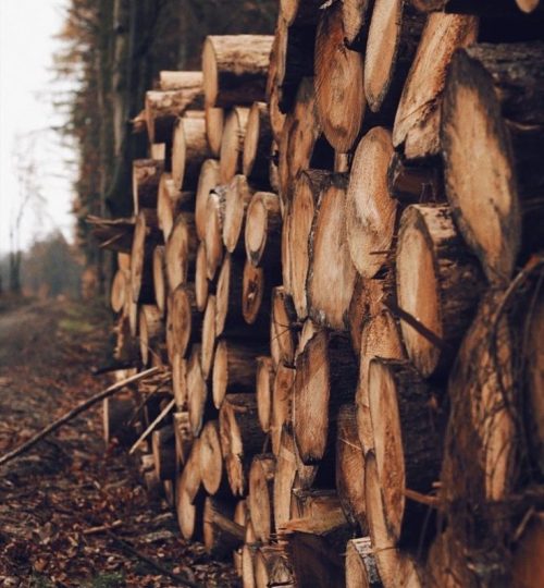 Projektai 9a796826ad1d0cc115512cd8ce15f7e4