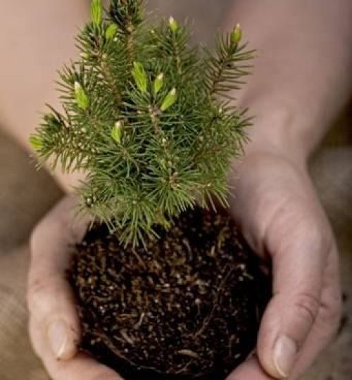 Projektai b0f56e5146ca0e839180d5cd41be75ed