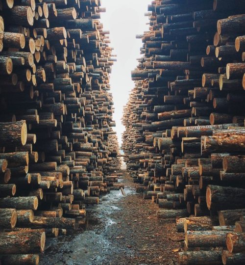 Projektai d83d2a9a2abda044862c5c548acf4396