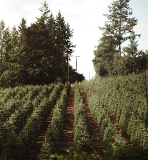 Projektai dd816e2b846939f9faf950878b6773d4